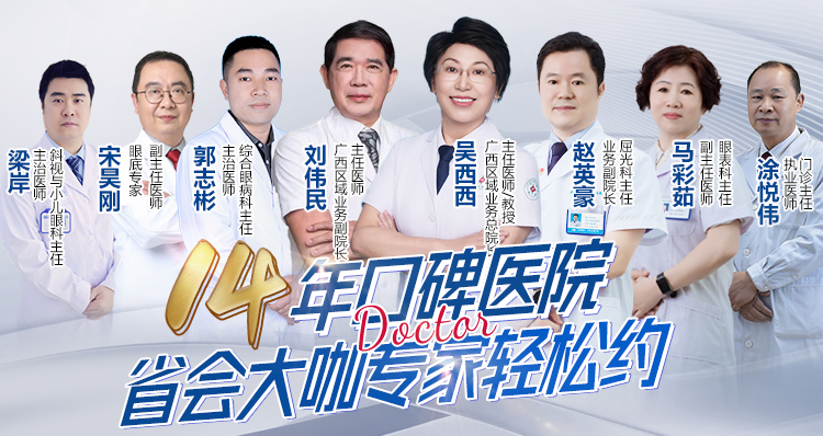 专家团队（手机端）